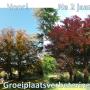 Buiten Zorg Groenspecialisten