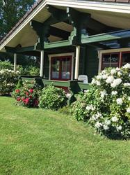 Bungalowpark Hoogersmilde