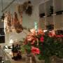 Restaurant Pizzeria La Galera
