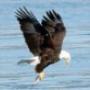Catch Fishing Services BV