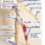 Chiropractie Praktijk Hoorn