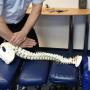 Chiropractie Praktijk Blaauw