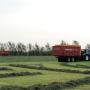 Gras oprapen