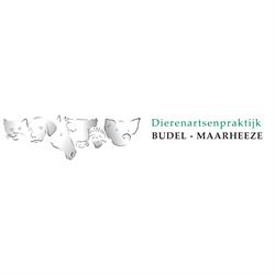 Dierenartsenpraktijk Budel-Maarheeze