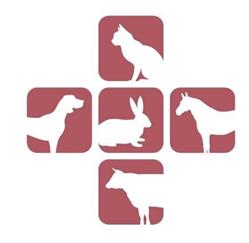 Dierenartsenpraktijk Olst-Wijhe