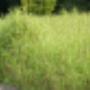 Darthuizer Groep