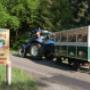 Camping De Bosrand