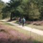 Bovenberg Camping De
