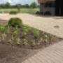 Hoveniersbedrijf De Brekeld