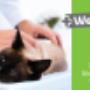 PlusDierenkliniek Westerwatering