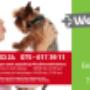 PlusDierenkliniek Westerwatering