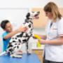 PlusDierenkliniek Westerwatering
