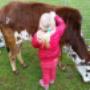 Droomwereld Kindercentrum De