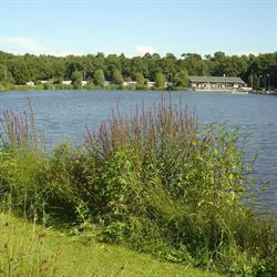 Camping de Entekoele - Camping