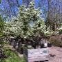 Groene Hand Hoveniersbedrijf De