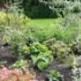 Groene Hand Hoveniersbedrijf De