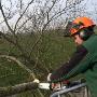 Groene Hand Hoveniersbedrijf De