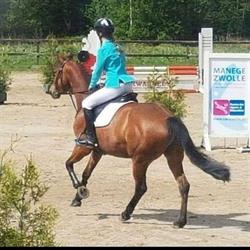 Manege/Pensionstal Hippisch Centrum de Haerst