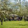 voorjaarsfair bloeiend fruit