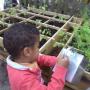 Kinderdagopvang de kinderkamer