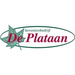Hoveniersbedrijf De Plataan