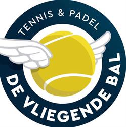 De Vliegende Bal