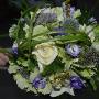 Wit Van Dongen Groencentrum
