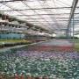 Wit Van Dongen Groencentrum