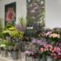 Wit Van Dongen Groencentrum