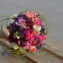 Wit Van Dongen Groencentrum