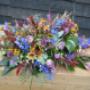 Wit Van Dongen Groencentrum