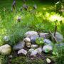 Dierenkliniek Dalfsen