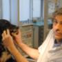 Dierenkliniek Den Dolder