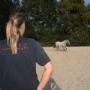 Dierenkliniek De Woldberg