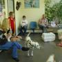 Dierenkliniek Hulst