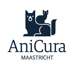AniCura dierenartsen Maastricht en Kattenhotel De Gelaarsde Kat