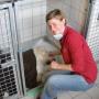 Dierenkliniek De Ark Terneuzen