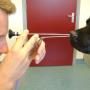 Dierenkliniek De Ark Terneuzen