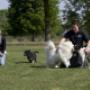 Dierenvakantieboerderij De Lofert
