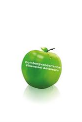 Domburgvandepanne Financieel Adviseurs