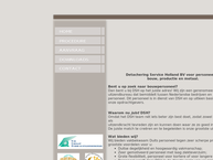 Dsh Detachering Service Holland Bv