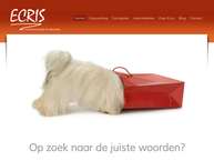 Ecris Communcatie