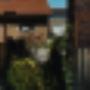 Schuurman Hovenier Ed