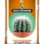 Cactusgrond