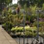 Tuincentrum Den Elsenhof