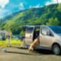 nissan nv200 evalia friesland
