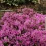 Plantentuin Esveld