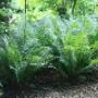 Plantentuin Esveld