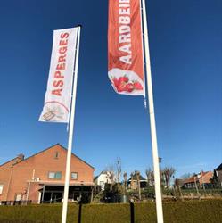 Geurten & Zn Bv Groenten en Fruit