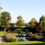 zwemvijver - zwembad luxe tuin